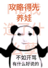 攻略什么