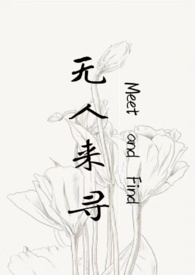 无人来寻全文免费阅读小说